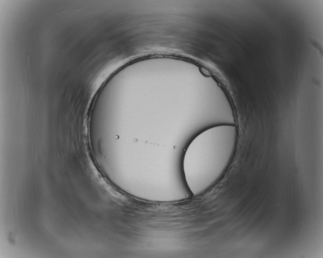 X0000101661287200807101016