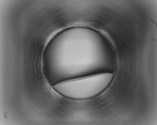 X0000101661288200807101016