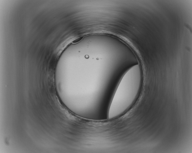 X0000101661289200807101016