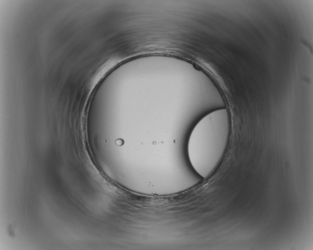X0000101661291200807101016
