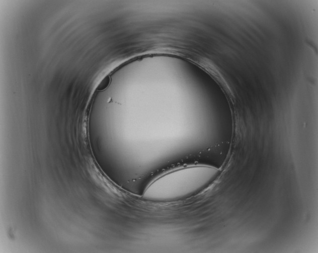X0000101661292200807101016