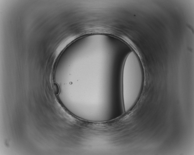 X0000101661293200807101016