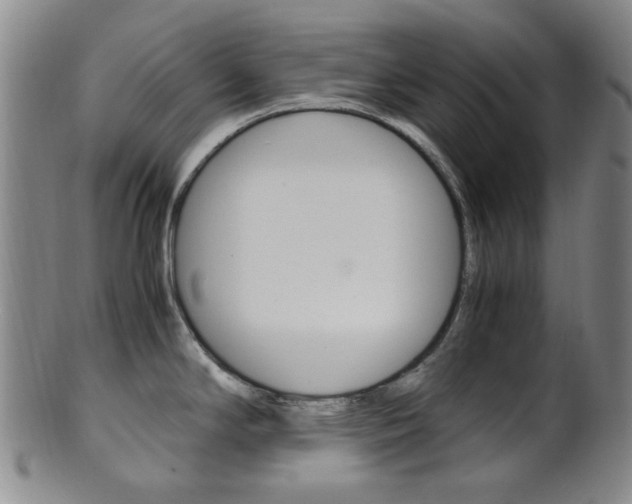 X0000101661294200807101016