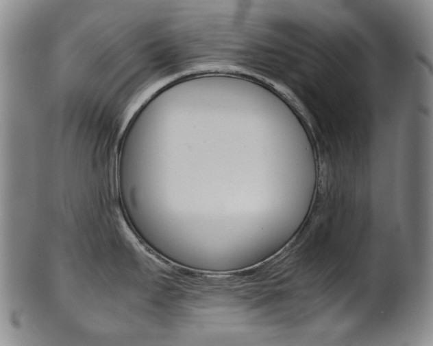 X0000101661295200807101016