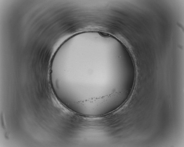 X0000101661296200807101016