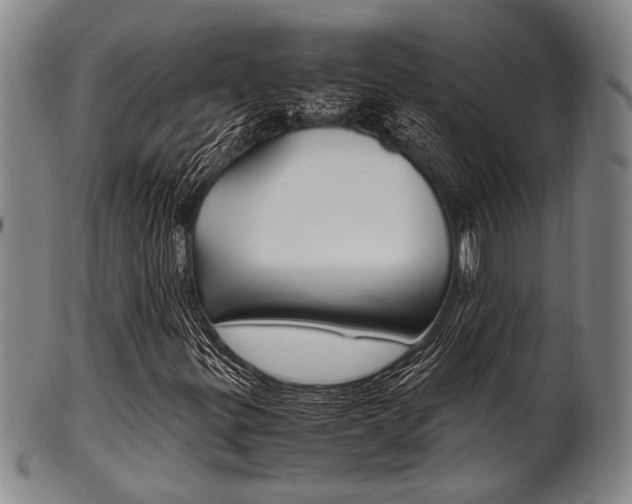 X0000101661299200807101015