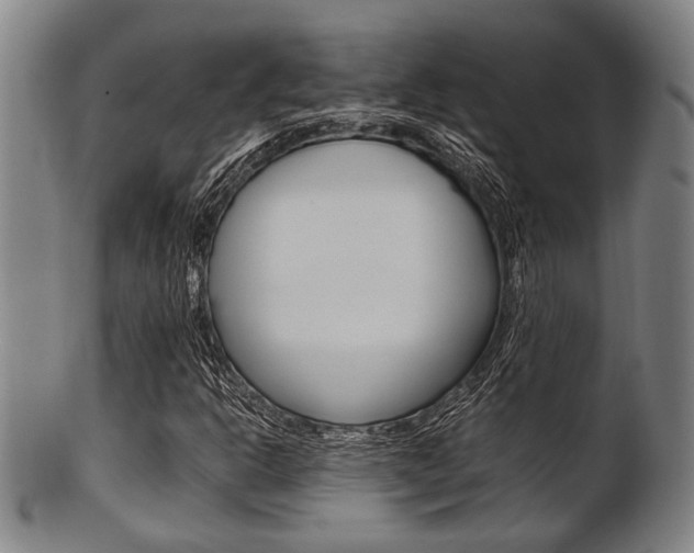 X0000101661302200807101015