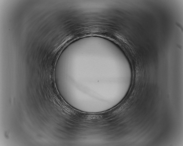 X0000101661305200807101015