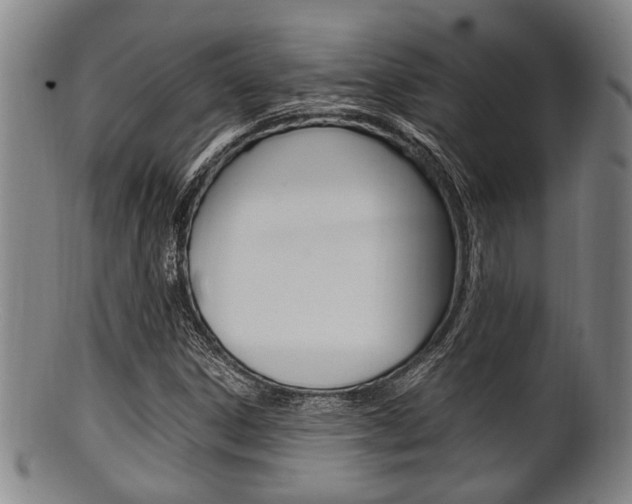 X0000101661306200807101015