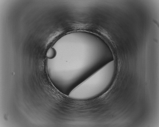 X0000101661309200807101015