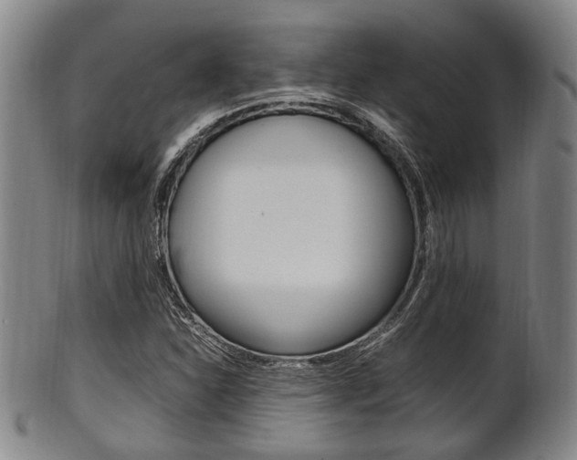 X0000101661310200807101015
