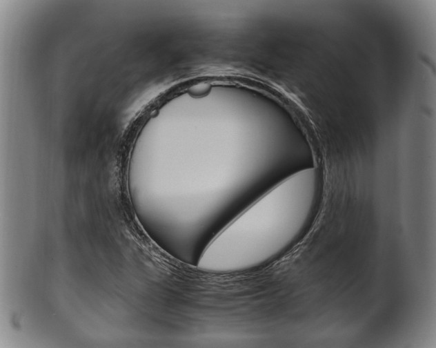 X0000101661311200807101015