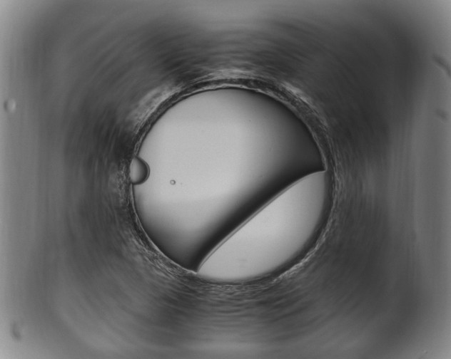 X0000101661313200807101015
