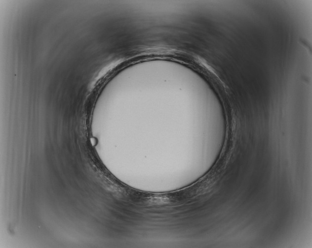 X0000101661315200807101015