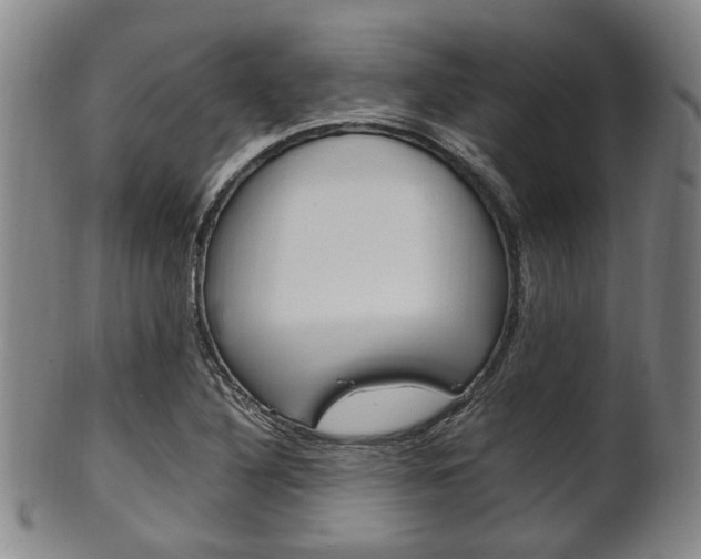 X0000101661316200807101015