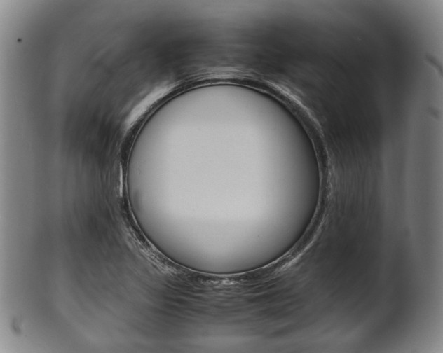 X0000101661317200807101015