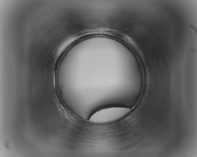 X0000101661320200807101016