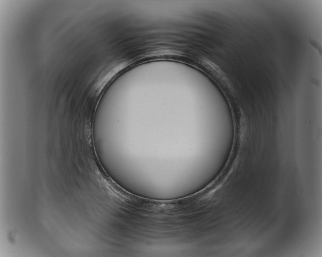 X0000101661321200807101016