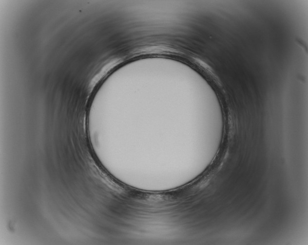 X0000101661322200807101016