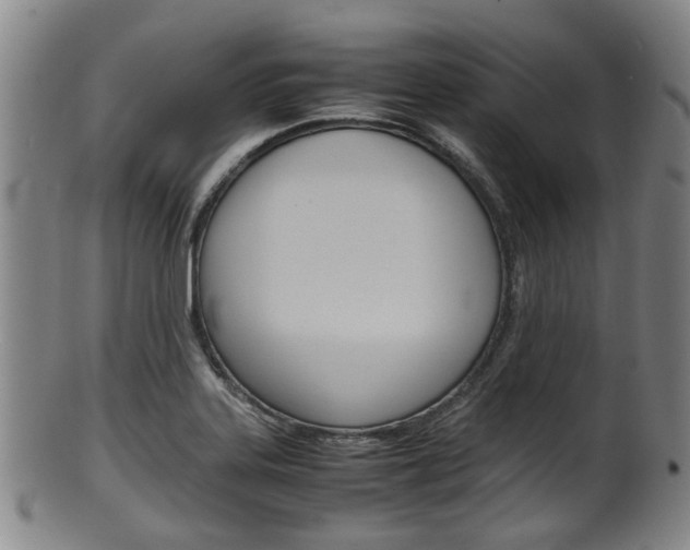 X0000101661323200807101016