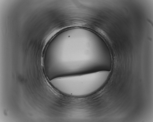 X0000101661324200807101016