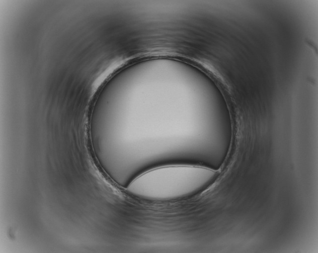 X0000101661325200807101016