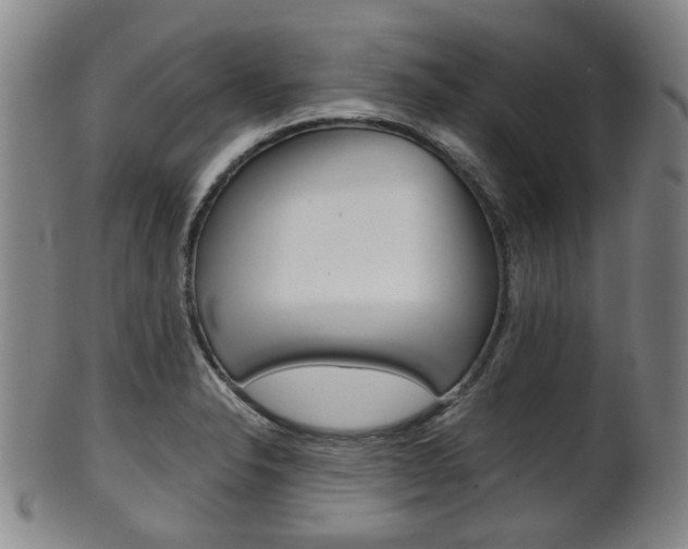 X0000101661326200807101016