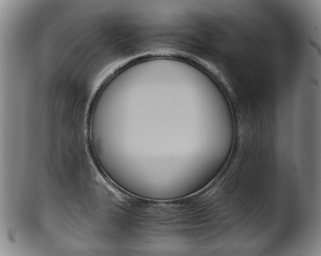 X0000101661327200807101016