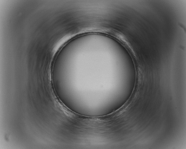 X0000101661328200807101016
