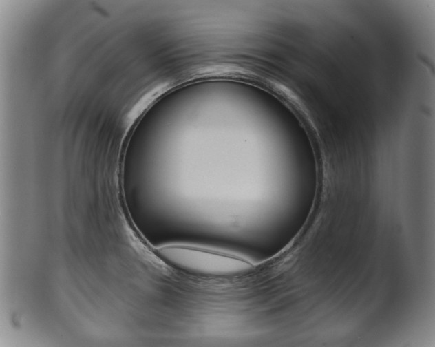 X0000101661330200807101016