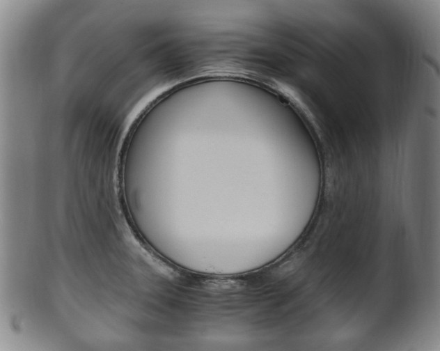 X0000101661331200807101016