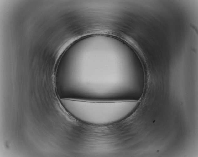 X0000101661332200807101016