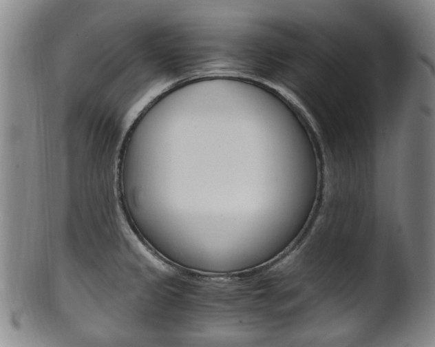 X0000101661333200807101016
