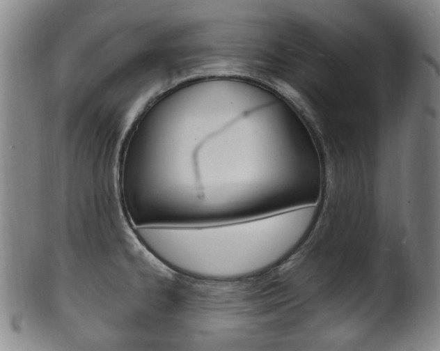 X0000101661334200807101016