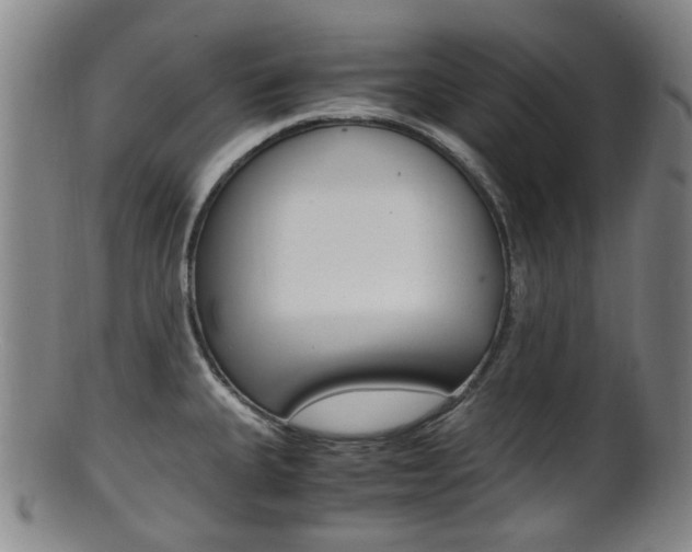 X0000101661335200807101016
