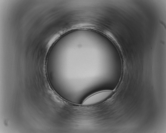X0000101661336200807101016