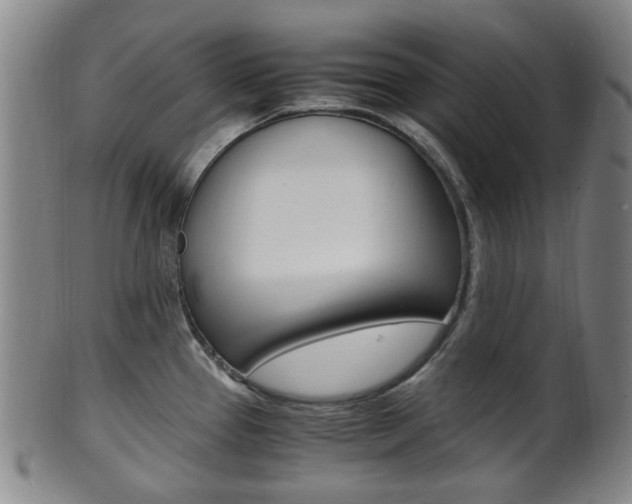 X0000101661337200807101016