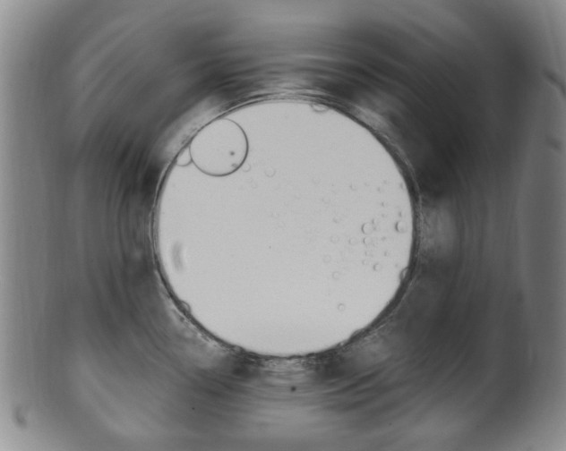 X0000101661338200807101016