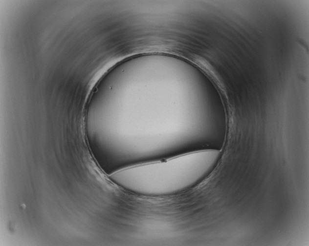 X0000101661340200807101016