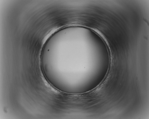X0000101661341200807101016