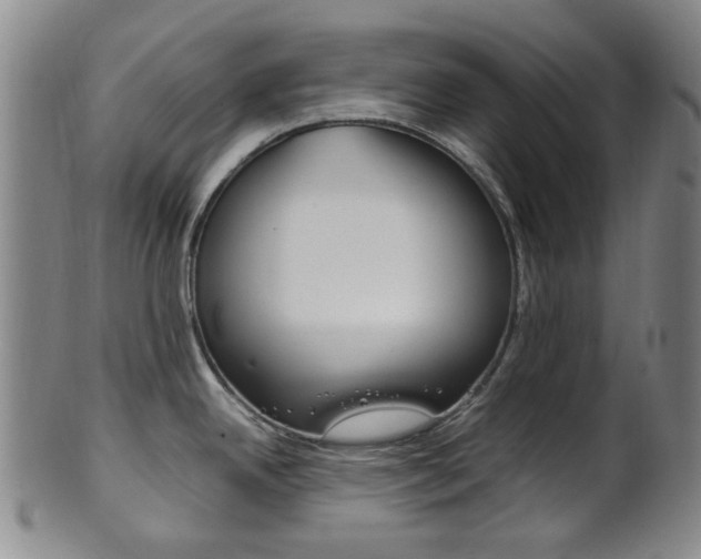 X0000101661342200807101016