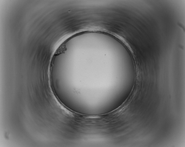 X0000101661343200807101016