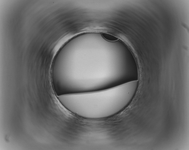 X0000101661344200807101016