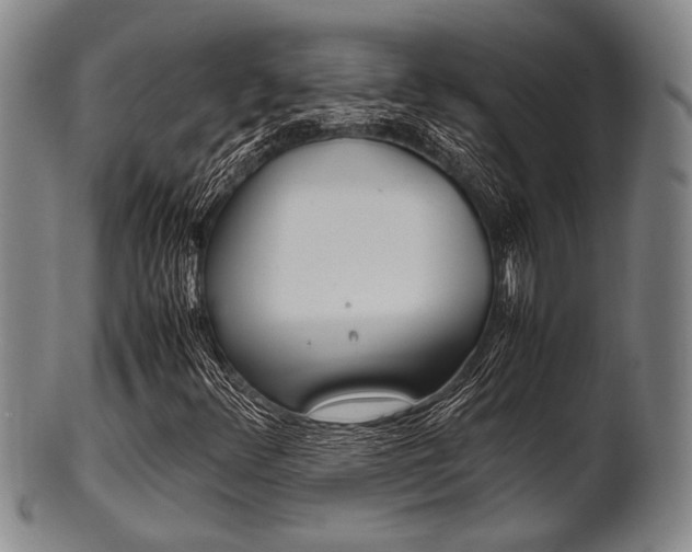 X0000101661348200807101015