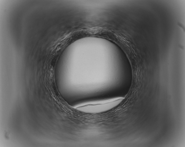 X0000101661349200807101015