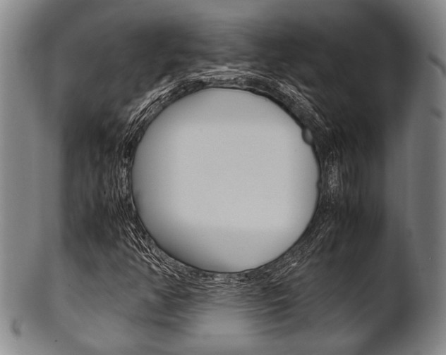 X0000101661350200807101015