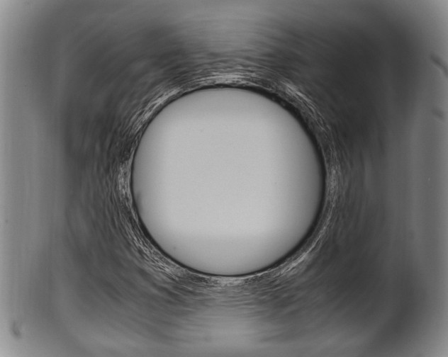 X0000101661353200807101015