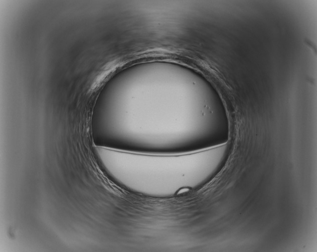 X0000101661355200807101015