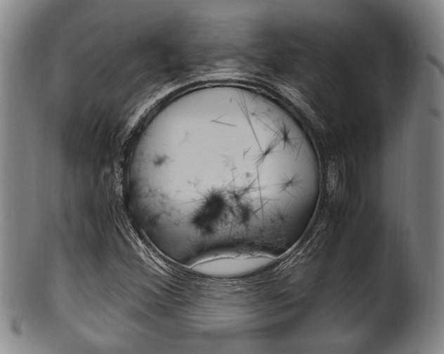 X0000101661356200807101015