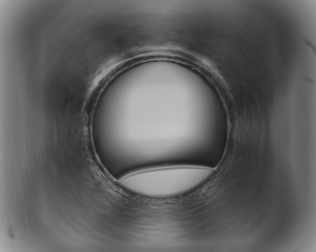 X0000101661360200807101015